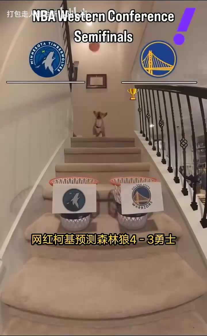 搶七決戰(zhàn)？網(wǎng)紅柯基預(yù)測(cè)系列賽走向：森林狼4比3戰(zhàn)勝勇士！