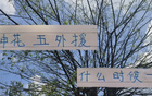 申花外援上場(chǎng)時(shí)機(jī)及四大豪門(mén)對(duì)比