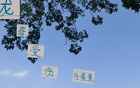 蔣內(nèi)傷，大連賽，馬艾誰得機(jī)？