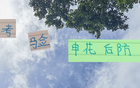 考驗(yàn)薛慶浩，申花龍哥蔣圣龍難防馬萊萊！