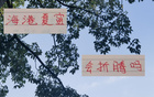 無奧斯卡，海港跌至四名，昔日霸主失色。
