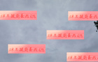 武磊傷退，海港備戰(zhàn)補賽。