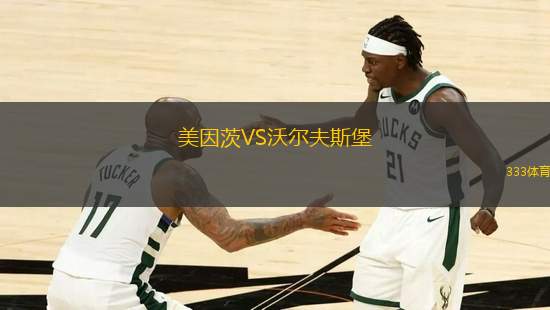 美因茨VS沃爾夫斯堡