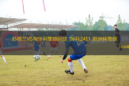 06月24日歐洲杯小組賽A組第3輪蘇格蘭vs匈牙利精彩片段