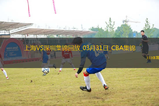 03月31日CBA常規(guī)賽收官戰(zhàn) 上海 - 深圳 精彩鏡頭