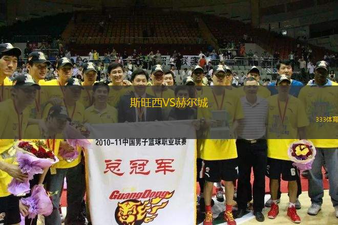 斯旺西VS赫爾城
