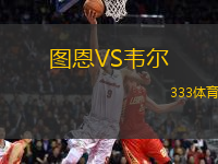 圖恩VS韋爾