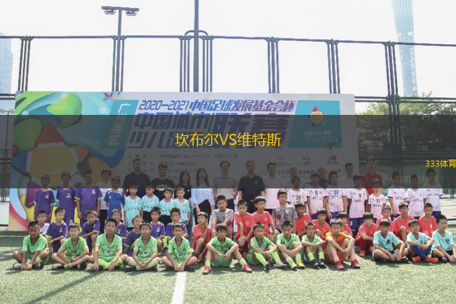 坎布爾VS維特斯