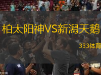 柏太陽(yáng)神VS新潟天鵝