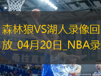 NBA季后賽西部首輪G1森林狼117-95湖人