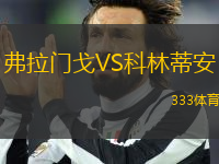 弗拉門戈VS科林蒂安