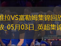 英超-競爭白熱化！維拉1-0富勒姆積分追平前五麥金助攻蒂萊曼斯制勝