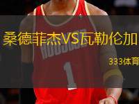 桑德菲杰VS瓦勒倫加
