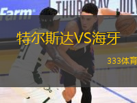 特爾斯達(dá)VS海牙