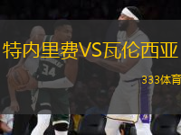 特內(nèi)里費VS瓦倫西亞