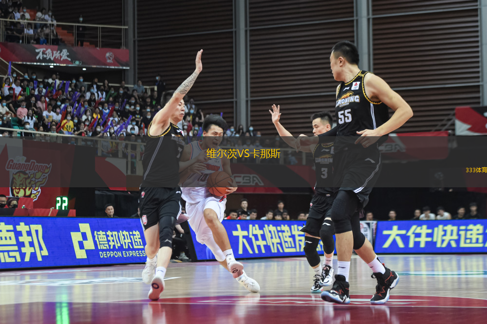 維爾茨VS卡那斯