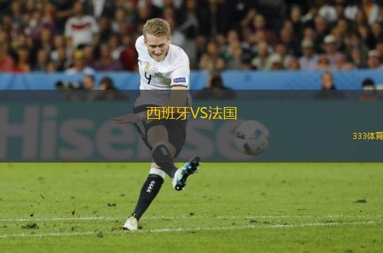 西班牙VS法國