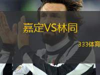 嘉定VS林同