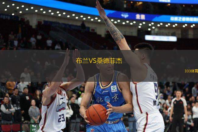 布蘭VS桑德菲杰